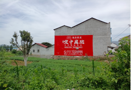 嵩县做墙体广告的意义